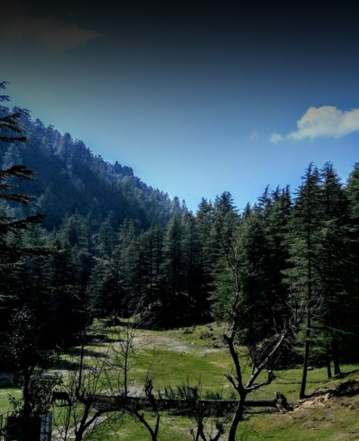 Mussoorie Auli Chopta